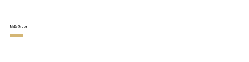 Brentiss Grupa logo